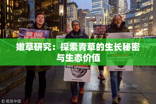 嫩草研究：探索青草的生长秘密与生态价值