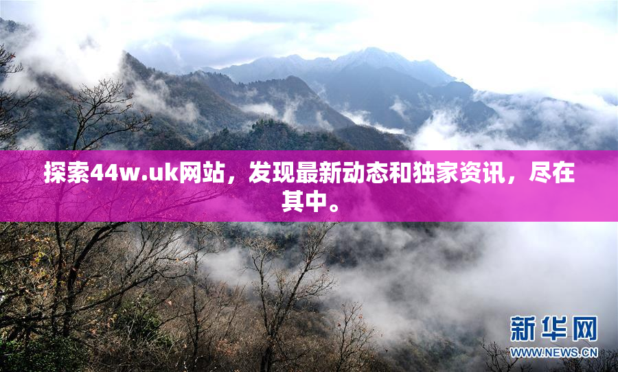 探索44w.uk网站，发现最新动态和独家资讯，尽在其中。