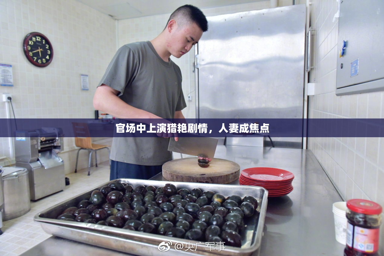 官场中上演猎艳剧情，人妻成焦点