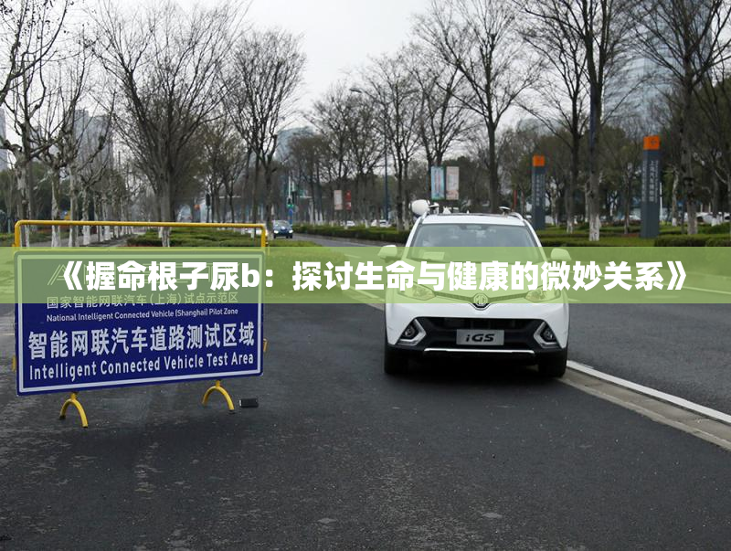 《握命根子尿b：探讨生命与健康的微妙关系》