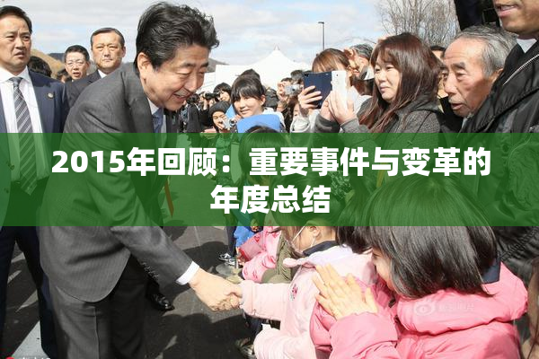2015年回顾：重要事件与变革的年度总结
