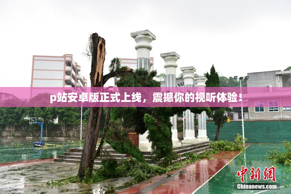 p站安卓版正式上线，震撼你的视听体验！