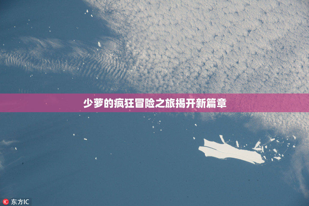 少萝的疯狂冒险之旅揭开新篇章