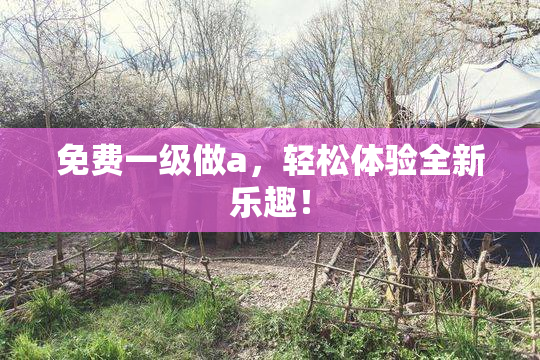 免费一级做a，轻松体验全新乐趣！