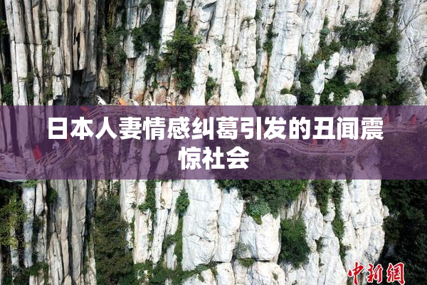 日本人妻情感纠葛引发的丑闻震惊社会