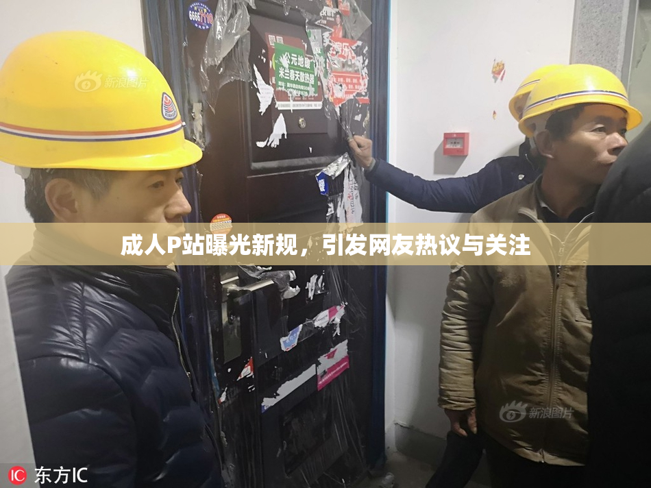 成人P站曝光新规，引发网友热议与关注