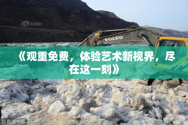 《观重免费，体验艺术新视界，尽在这一刻》