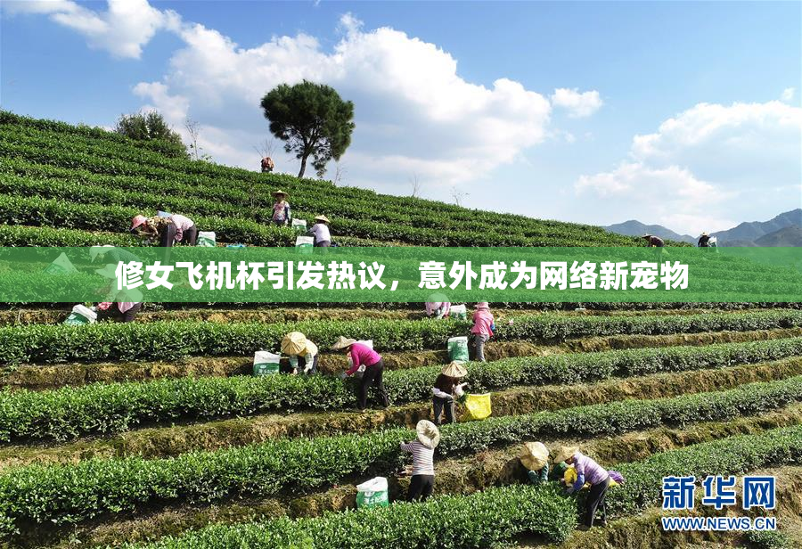 修女飞机杯引发热议，意外成为网络新宠物