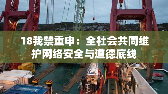 18我禁重申：全社会共同维护网络安全与道德底线