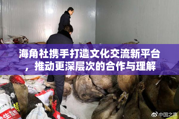 海角社携手打造文化交流新平台，推动更深层次的合作与理解