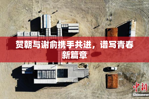 贺朝与谢俞携手共进，谱写青春新篇章