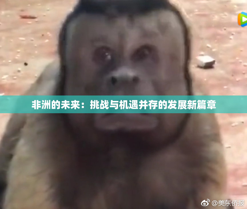 非洲的未来：挑战与机遇并存的发展新篇章