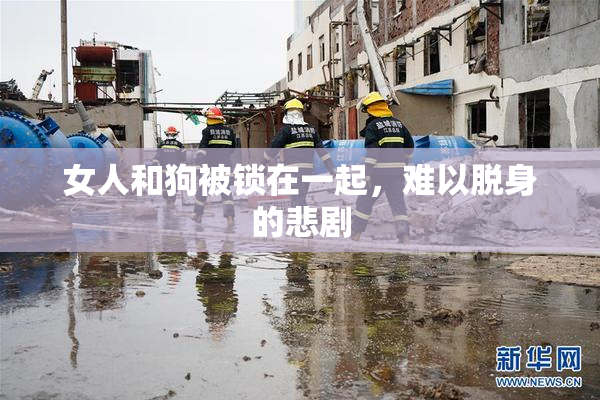 女人和狗被锁在一起，难以脱身的悲剧
