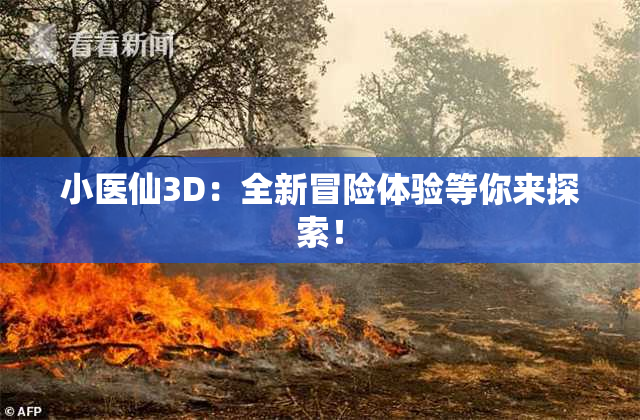 小医仙3D：全新冒险体验等你来探索！