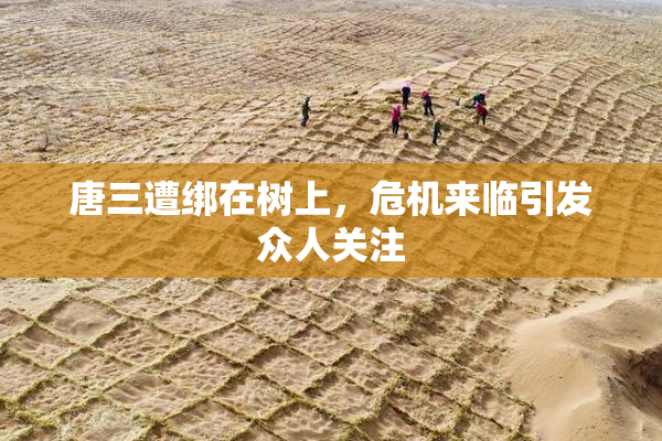唐三遭绑在树上，危机来临引发众人关注