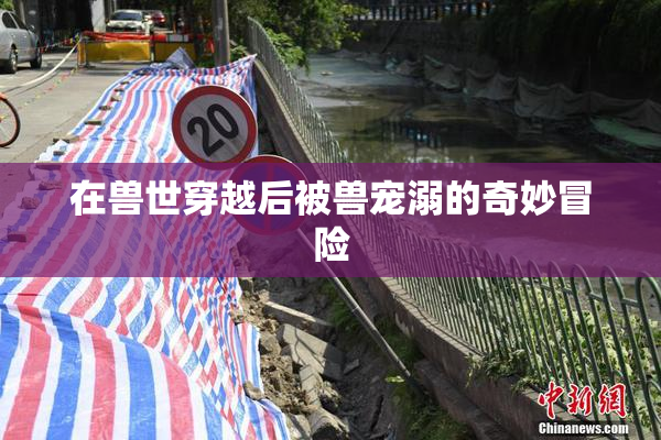 在兽世穿越后被兽宠溺的奇妙冒险