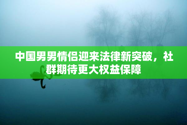 中国男男情侣迎来法律新突破，社群期待更大权益保障