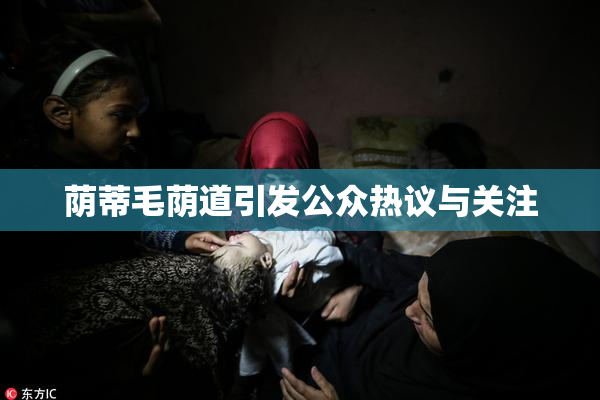 荫蒂毛荫道引发公众热议与关注