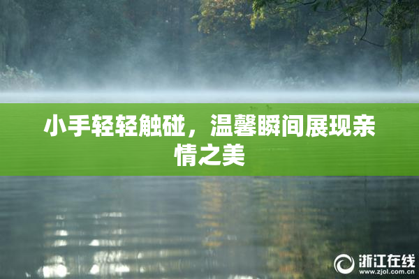 小手轻轻触碰，温馨瞬间展现亲情之美
