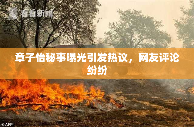 章子怡秘事曝光引发热议，网友评论纷纷