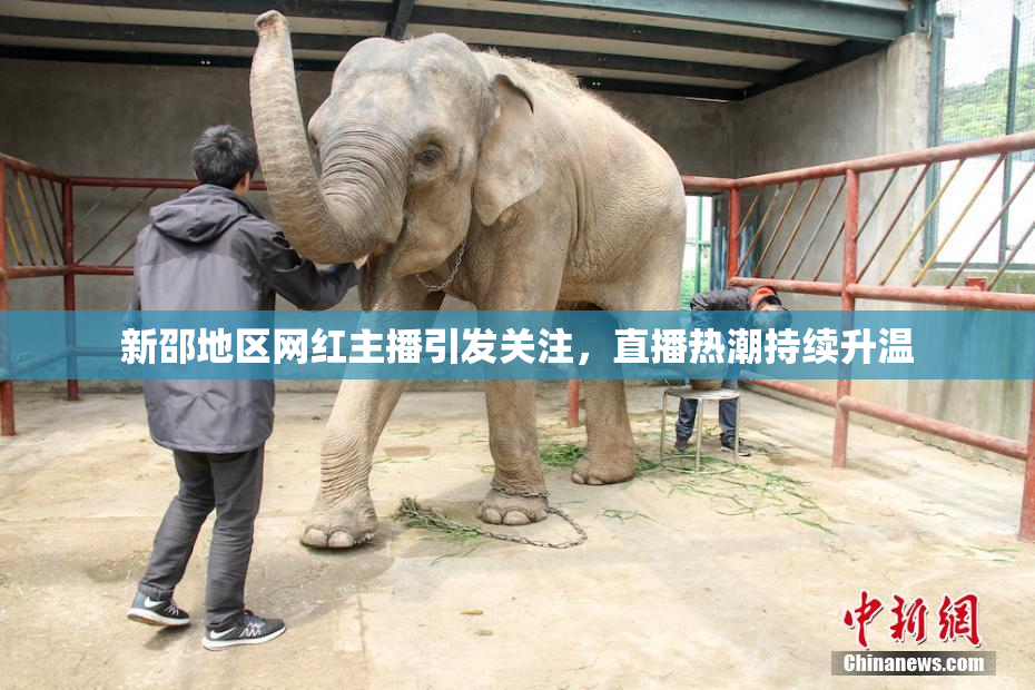 新邵地区网红主播引发关注，直播热潮持续升温