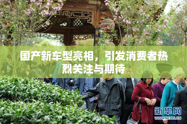 国产新车型亮相，引发消费者热烈关注与期待
