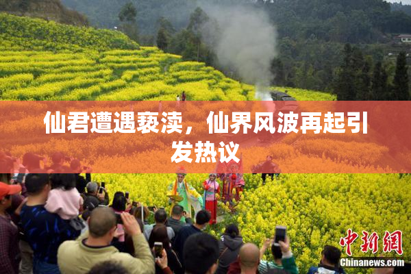 仙君遭遇亵渎，仙界风波再起引发热议