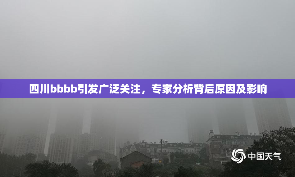四川bbbb引发广泛关注，专家分析背后原因及影响