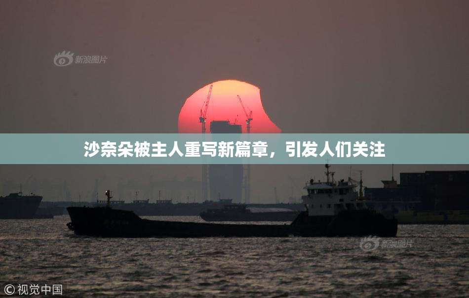 沙奈朵被主人重写新篇章，引发人们关注