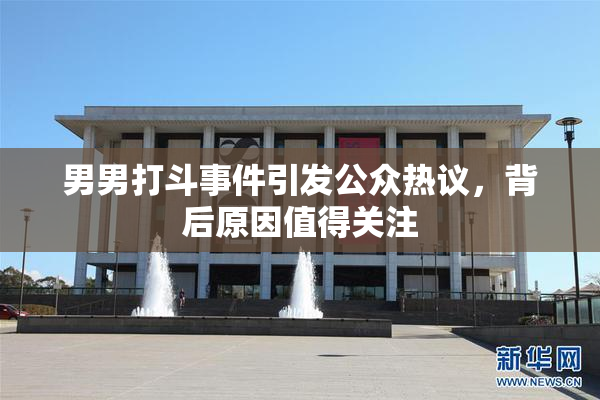 男男打斗事件引发公众热议，背后原因值得关注