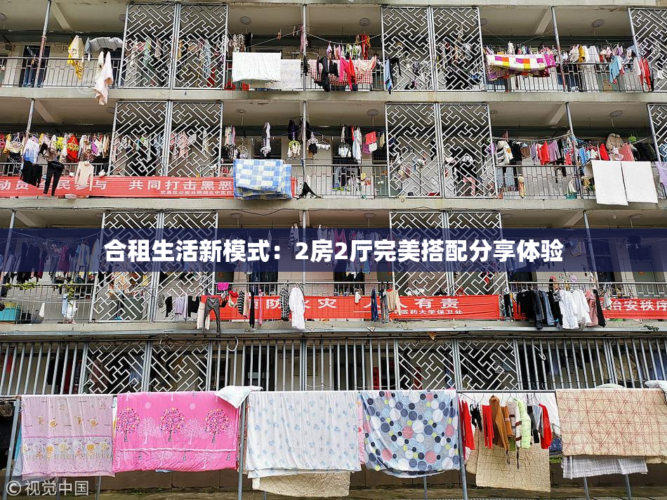 合租生活新模式：2房2厅完美搭配分享体验