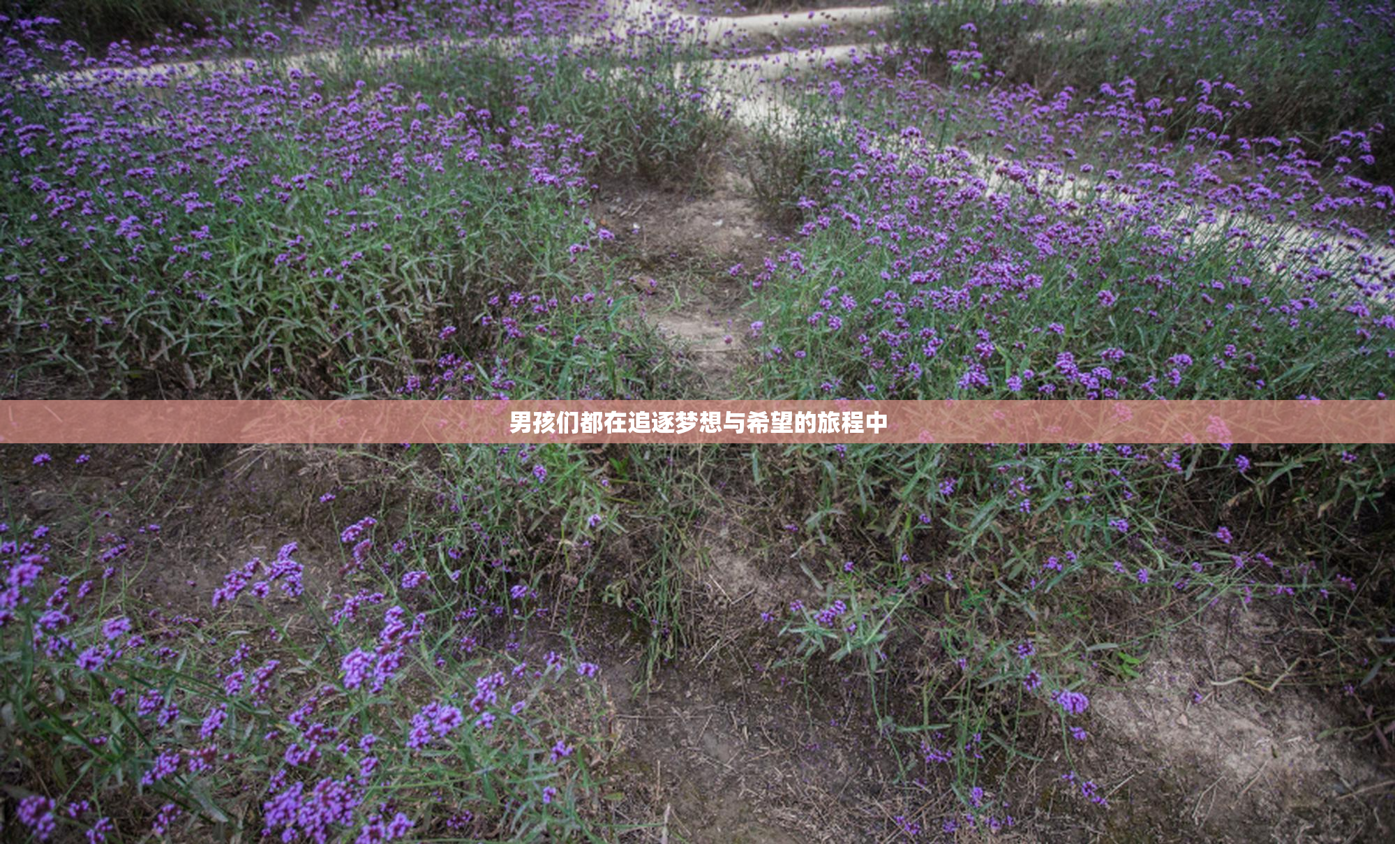 男孩们都在追逐梦想与希望的旅程中