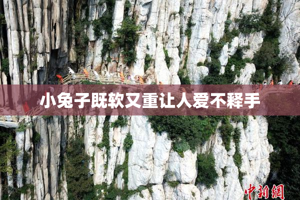 小兔子既软又重让人爱不释手