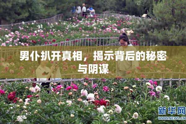 男仆扒开真相，揭示背后的秘密与阴谋