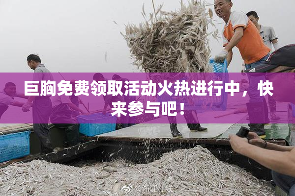 巨胸免费领取活动火热进行中，快来参与吧！