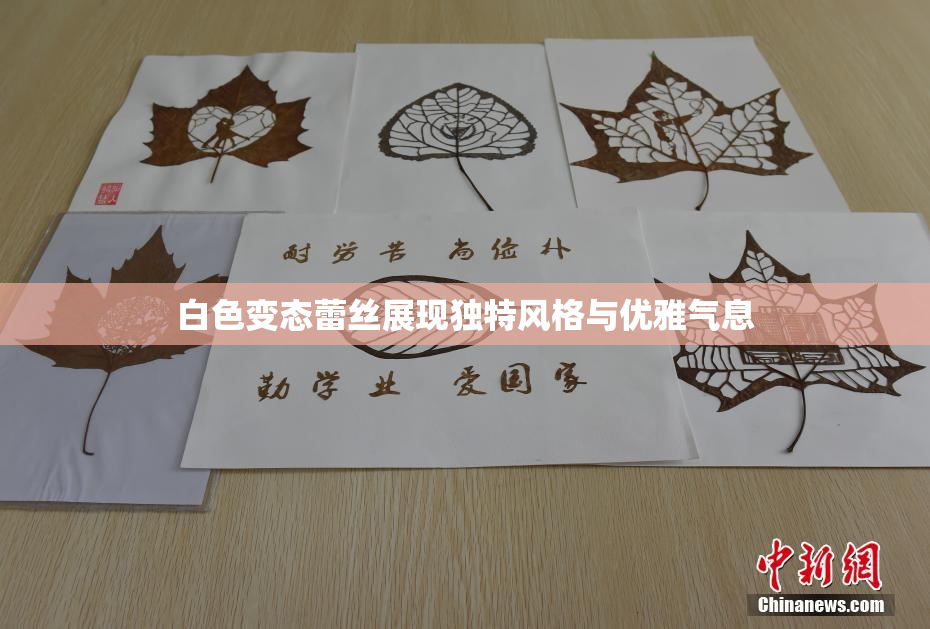白色变态蕾丝展现独特风格与优雅气息