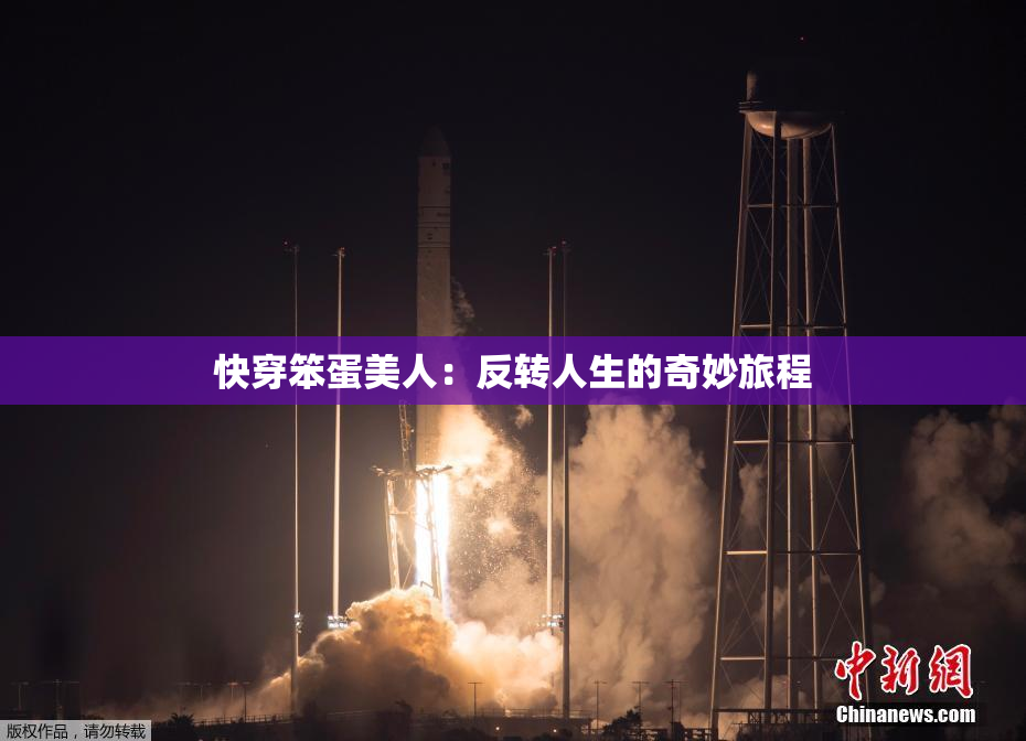 快穿笨蛋美人：反转人生的奇妙旅程