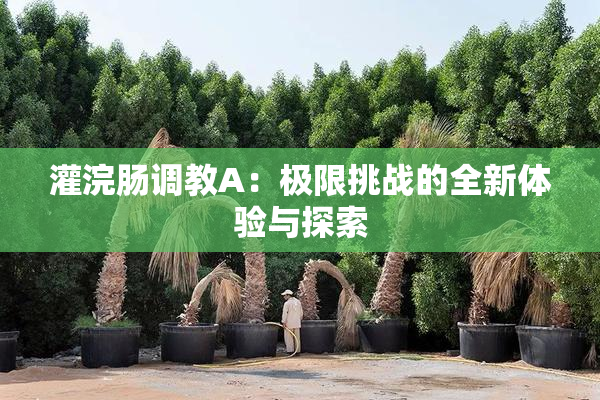 灌浣肠调教A：极限挑战的全新体验与探索