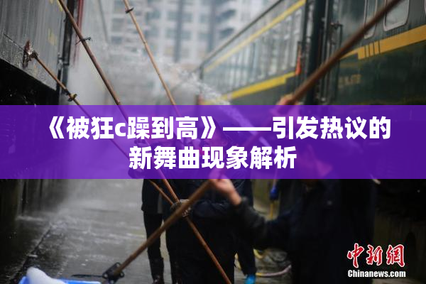 《被狂c躁到高》——引发热议的新舞曲现象解析