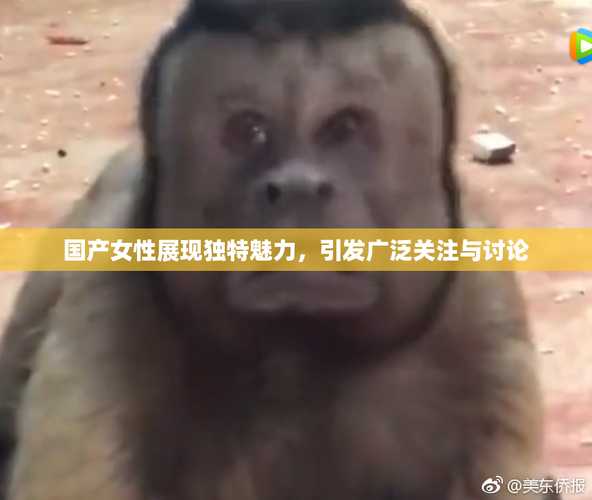 国产女性展现独特魅力，引发广泛关注与讨论