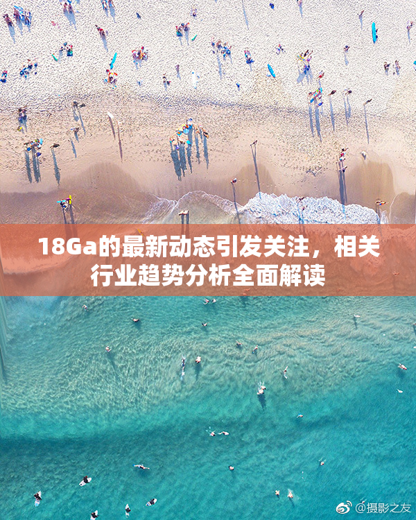 18Ga的最新动态引发关注，相关行业趋势分析全面解读