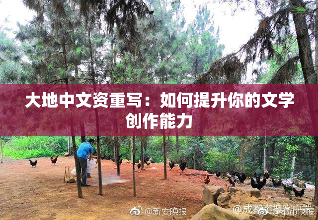 大地中文资重写：如何提升你的文学创作能力