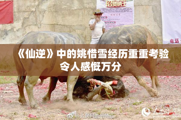 《仙逆》中的姚惜雪经历重重考验令人感慨万分