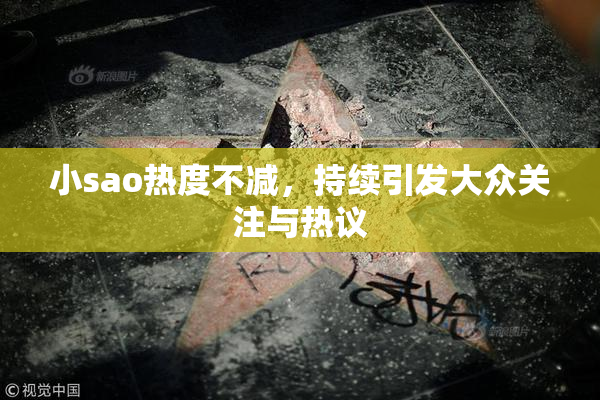 小sao热度不减，持续引发大众关注与热议
