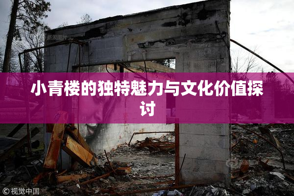 小青楼的独特魅力与文化价值探讨