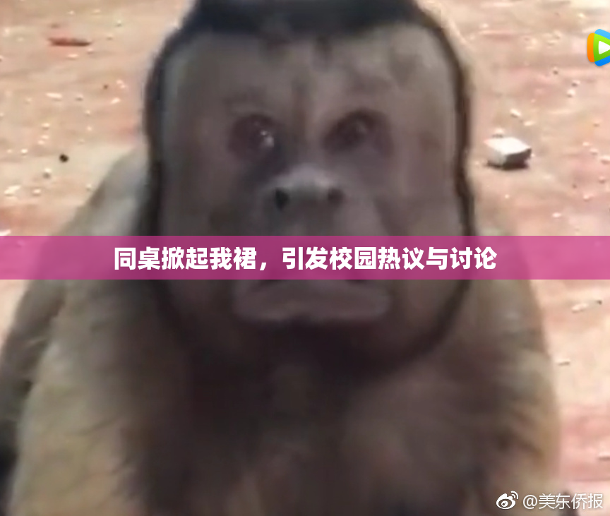 同桌掀起我裙，引发校园热议与讨论
