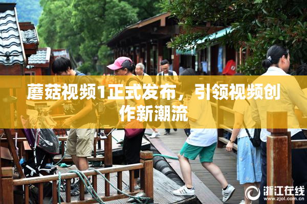 蘑菇视频1正式发布，引领视频创作新潮流