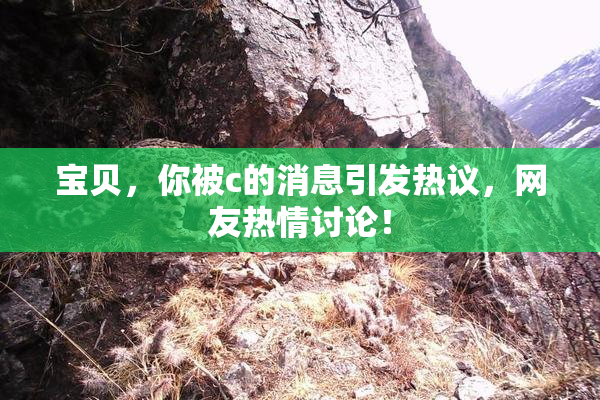 宝贝，你被c的消息引发热议，网友热情讨论！