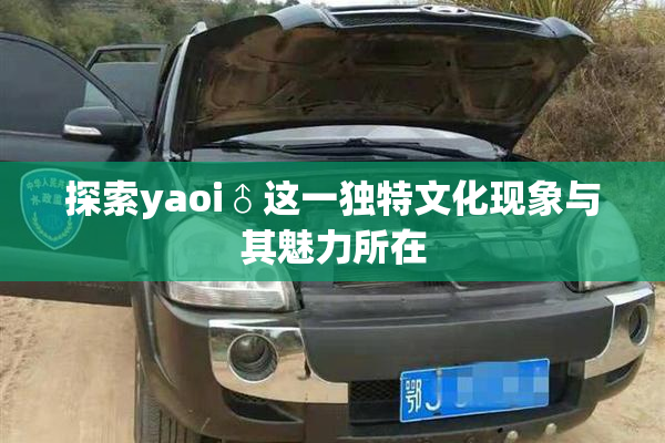 探索yaoi♂这一独特文化现象与其魅力所在