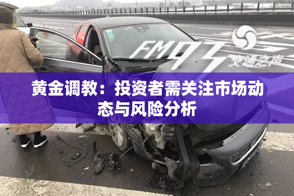 黄金调教：投资者需关注市场动态与风险分析